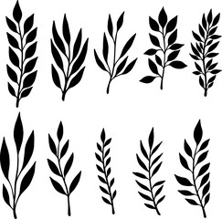 Set of hand drawn floral branches. Design element for decoration. Vector illustration