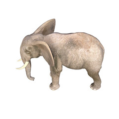 Obraz premium Elephant rendered in different poses and angles. 3D model, PNG.