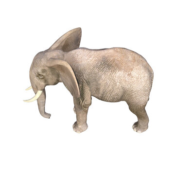 Elephant rendered in different poses and angles. 3D model, PNG.
