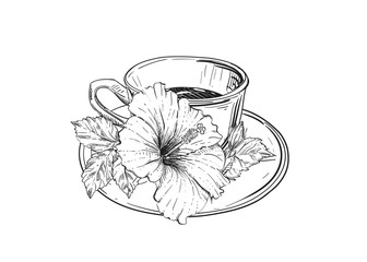 Hand drawn sketch black and white illustration cup of tea hibiscus flower, leaf. Vector illustration. Elements in graphic style label, sticker. Engraved style.