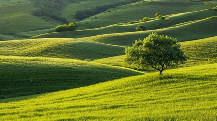 Obraz premium Small hills adorned with a lush green grass field, nature's simple beauty, Ai Generated.