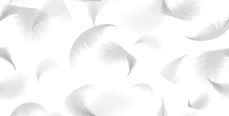 3d realistic vector illustration. White flying fluffy feathers. Seamless pattern. On white background. - obrazy, fototapety, plakaty