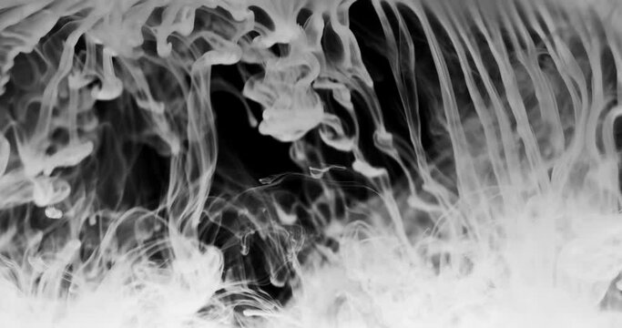 Bright white thic smoke falls across the frame, makes abstract curly shapes,  gathers at the bottom, dissolves into haze