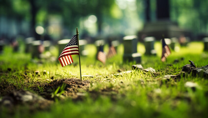 Military cemetery adorned with American flags, honoring fallen heroes and veterans in a solemn Memorial Day tribute - obrazy, fototapety, plakaty