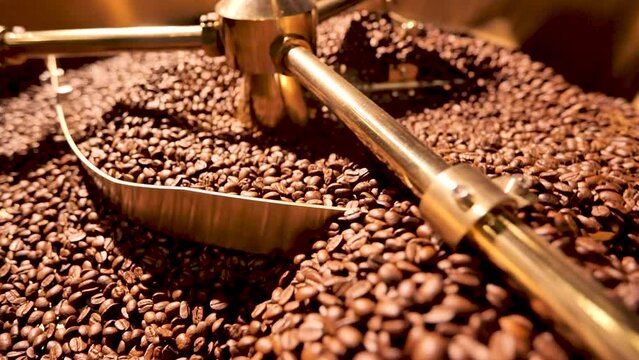 Cooling freshly roasted coffee beans. Slow motion shot.