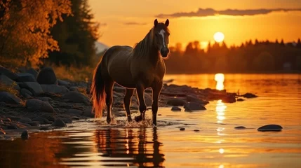 Foto op Plexiglas Silhouette of a horse on lake shore at sunset background. © tong2530
