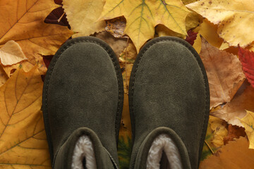 Women's suede boots on autumn leaves