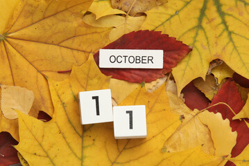 Naklejka na ściany i meble White wooden block Calendar with date October 11 on fallen autumn leaves