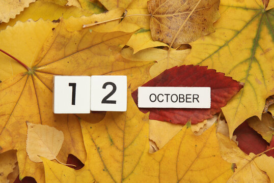 White wooden block Calendar with date October 12 on fallen autumn leaves