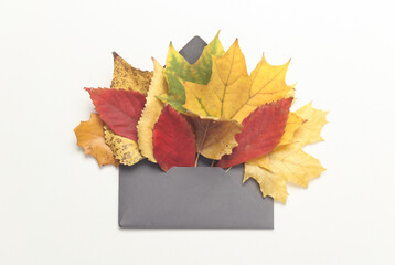 Envelope with autumn leaves on white background