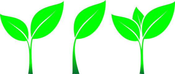 vector image of young green shoots on a transparent background © nugroho