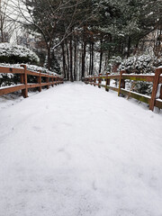 Snowy park road snow winter