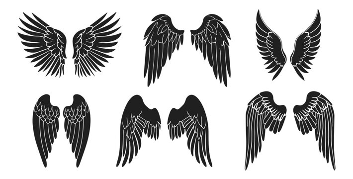 Wings vector illustration set. Angel wing in style of hand drawn black doodle on white background. Feathers silhouette sketch