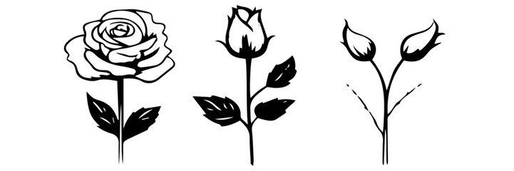 black and white silhouettes of rose flowers