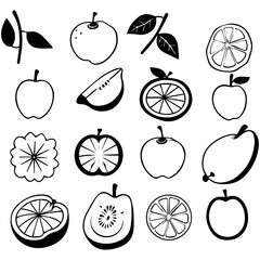 Hand drawn vector illustration of a sketch of  fruits