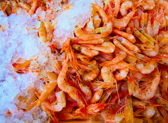 Ice, shrimp or top view of food at market for nutrition, protein or cold animal for healthy diet in fish industry. Above, seafood and frozen prawn at restaurant for dinner, meal or shellfish closeup