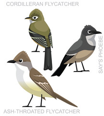 Bird Flycatcher Phoebe Utah Cartoon Vector