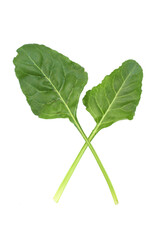 Fototapeta premium Spinach leaves isolated on white, fresh spinach isolated on white background with copy space for your text. Creative layout made of spinach, Food concept, Top view