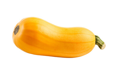 Whole Butternut Squash with Copy Space on white background
