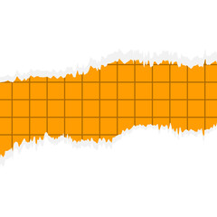 Fototapeta premium Torn Paper with Grid