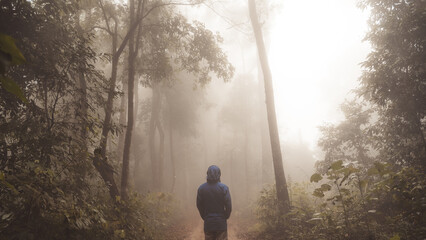 A man alone in a hoodie walking in a forest through a thick fog
