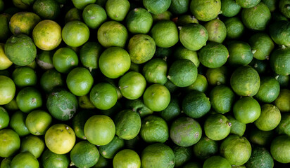 Close up top down view of locally grown and freshly harvested green limes at fruit and vegetable market in Dili, Timor-Leste, Southeast Asia