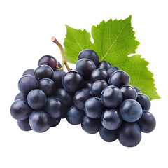 A bunch of dark blue grapes with a dew-fresh leaf, isolated on white, capturing the essence of vineyard freshness.

