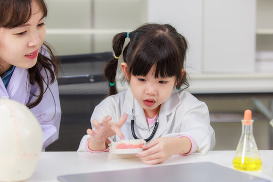 Asian woman doctor physiotherapist explains human fake skeleton teeth model on a table to little cute children girl at laboratory study room. Education anatomical human concept learning for kids.