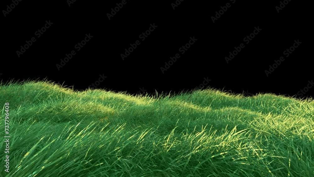 Wall mural grass wind noise loop on alpha channel. element footage place on footage or background and easier to