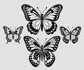 Set of black and white color butterflies' vector, illustration collection isolated