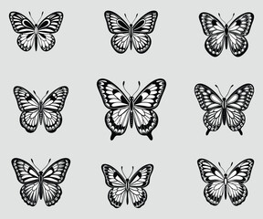 Set of black and white color butterflies' vector, illustration collection isolated