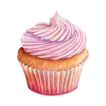 Cupcake muffin cream watercolor drawing in nice paper. Cake bakery tasty dessert illustration. Birthday celebration pastry aquarelle picture isolated on white background