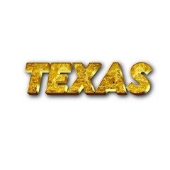 3D Texas text on white background