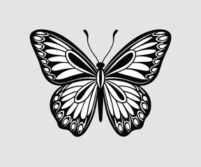 Butterfly black and white vector illustration, butterfly silhouette