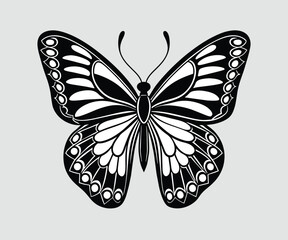 Butterfly black and white vector illustration, butterfly silhouette