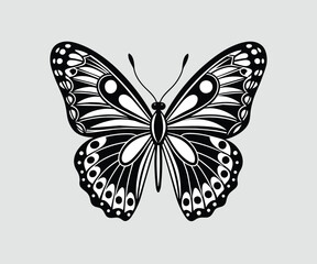 Butterfly black and white vector illustration, butterfly silhouette