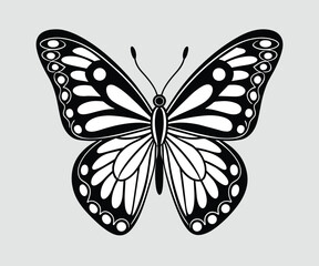 Butterfly black and white vector illustration, butterfly silhouette