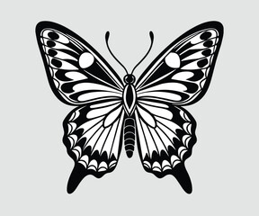Butterfly black and white vector illustration, butterfly silhouette