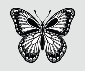 Butterfly black and white vector illustration, butterfly silhouette
