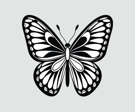 Butterfly black and white vector illustration, butterfly silhouette