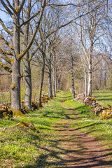 Path with stone walls and trees on a beautiful sunny spring day