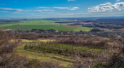 Naklejka premium Beautiful view from the hill to the plain with green fields, meadows, villages and forests. There are vineyards on the hillside. Blue sky with white clouds.