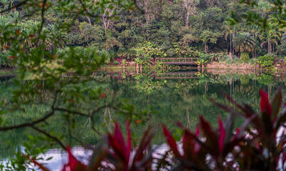 Tranquil Lake Surrounded by Lush Greenery and Wooden Bridge