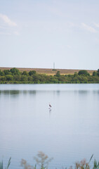 Beautiful rural landscape with a heron fishing in a pond