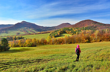 Woman backpacker on hiking trail in the mountains in autumn sunny day, Low Beskids (Beskid Niski) - obrazy, fototapety, plakaty