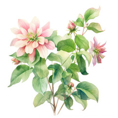 A Watercolor Painting of a Pink Flower With Green Leaves