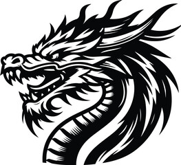 Obraz premium dragon head, animal illustration