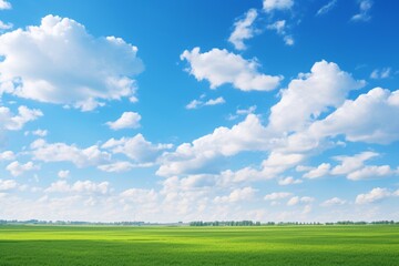 a green field with blue sky and clouds - obrazy, fototapety, plakaty