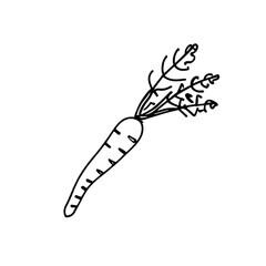 Vegetable doodling drawing lines  tomato,carrot,onion,lettuce vector illustration