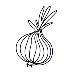 Vegetable doodling drawing lines  tomato,carrot,onion,lettuce vector illustration